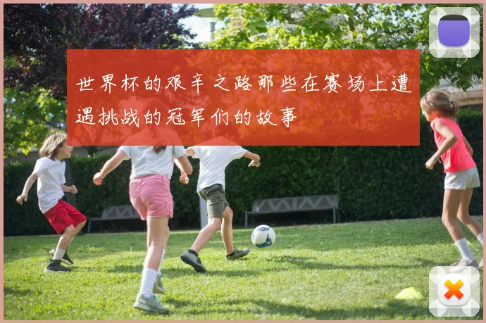 世界杯的艰辛之路那些在赛场上遭遇挑战的冠军们的故事