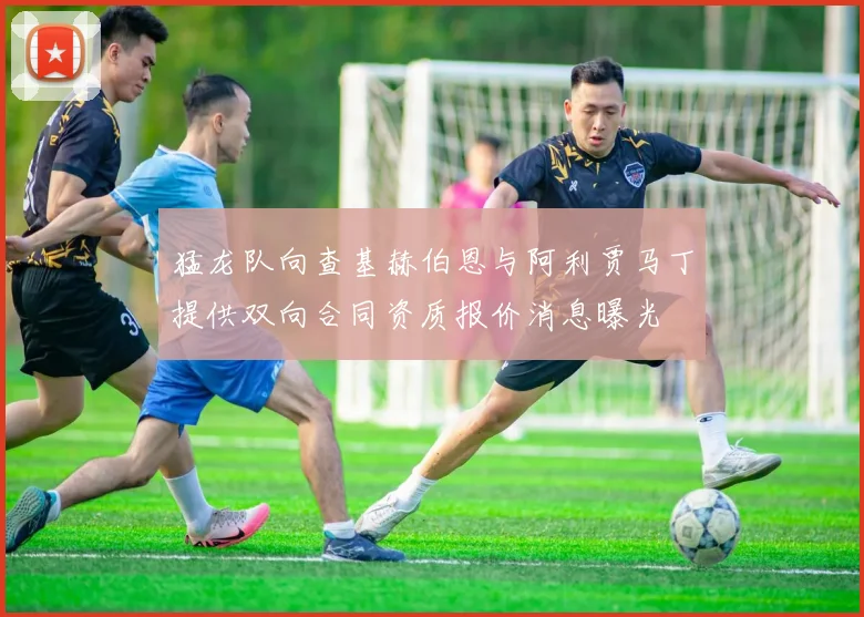 猛龙队向查基赫伯恩与阿利贾马丁提供双向合同资质报价消息曝光